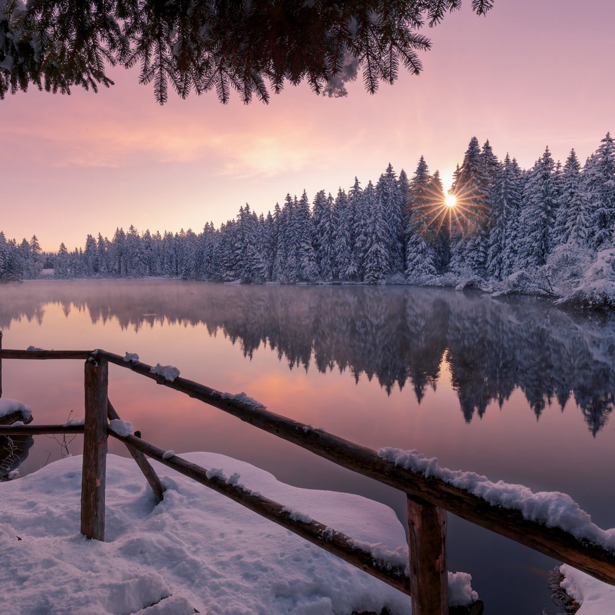 Озеро в лесу зимой