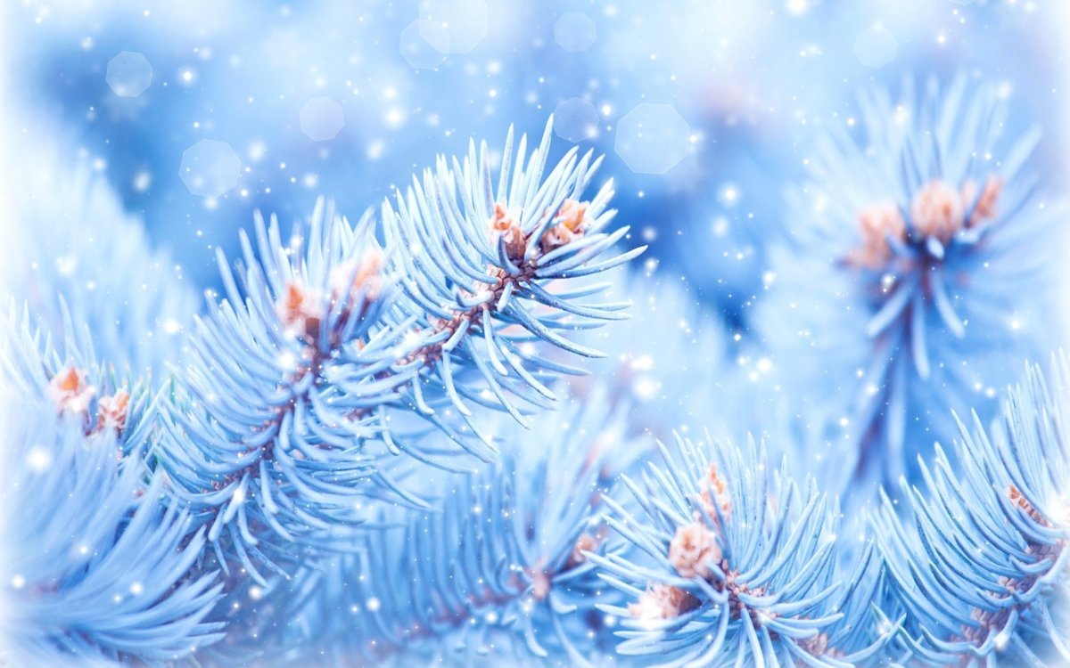 Зимний мост