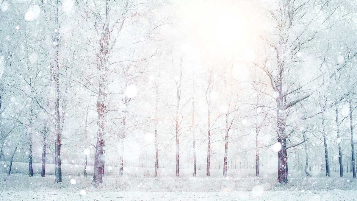 Зима снег