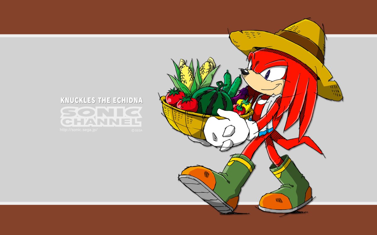 Knuckles the Echidna (комиксы)
