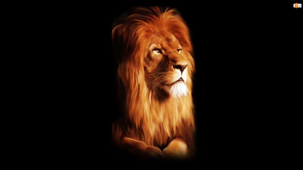 Обои на рабочий стол Лев