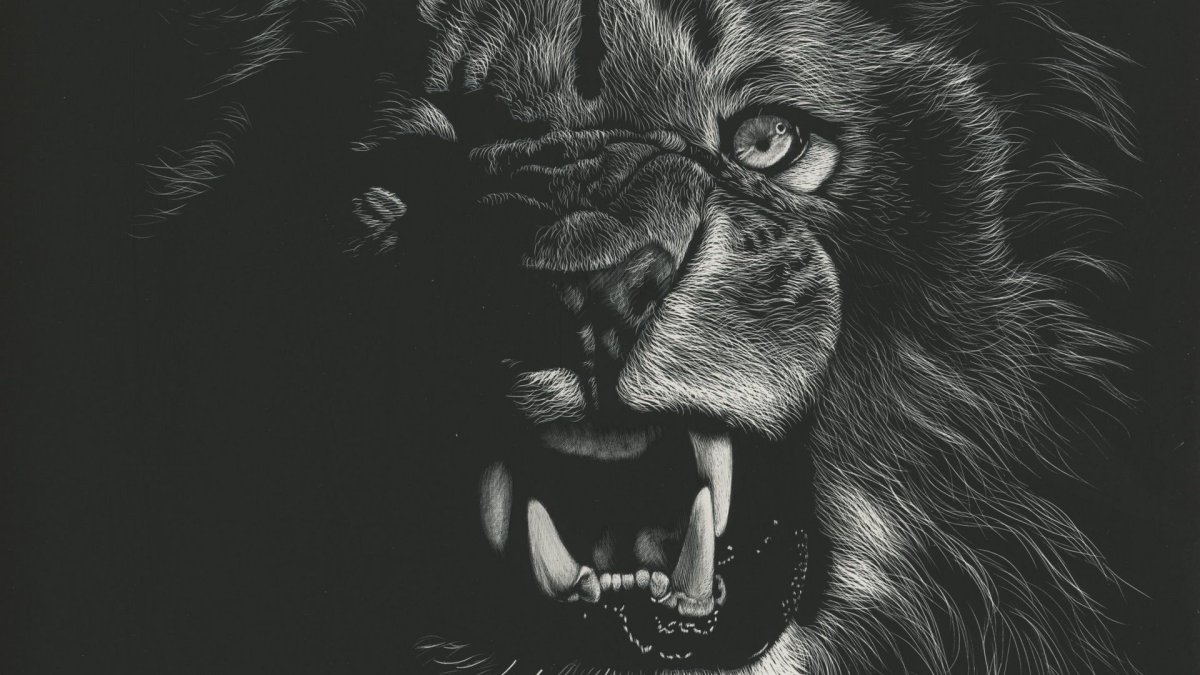 Лев Блэк Лайон