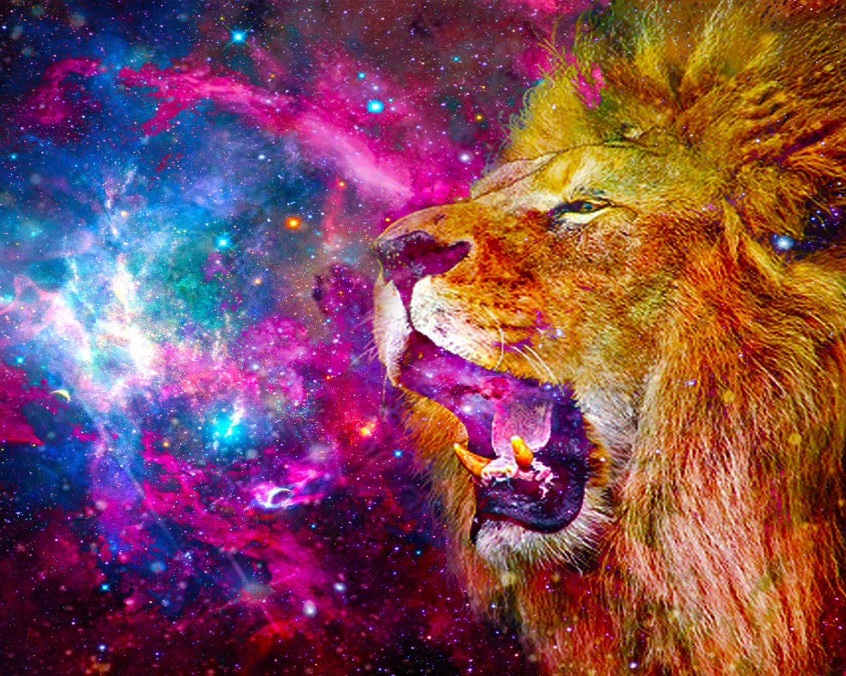 Красивый космический левв
