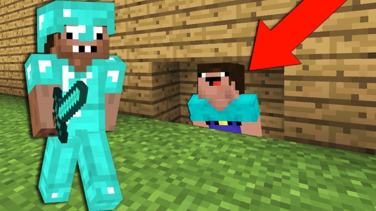 НУБИК И профессионал НУБИК И профессионал