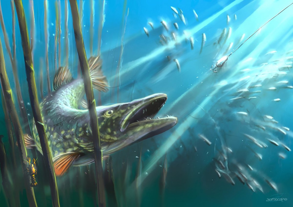 Ал Агнев картины с рыбами