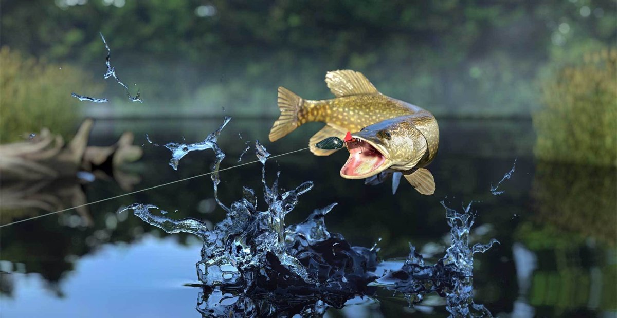 Обои на рабочий стол рыбалка