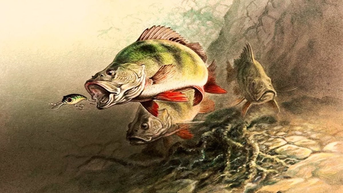 Зимняя рыбалка