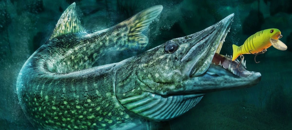 Марк Сузино подводный мир