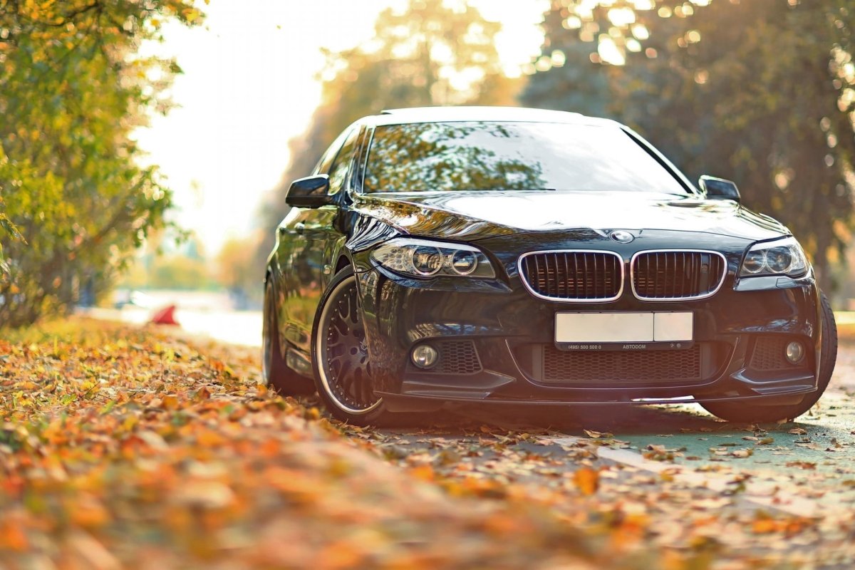 BMW m5 f10 осень