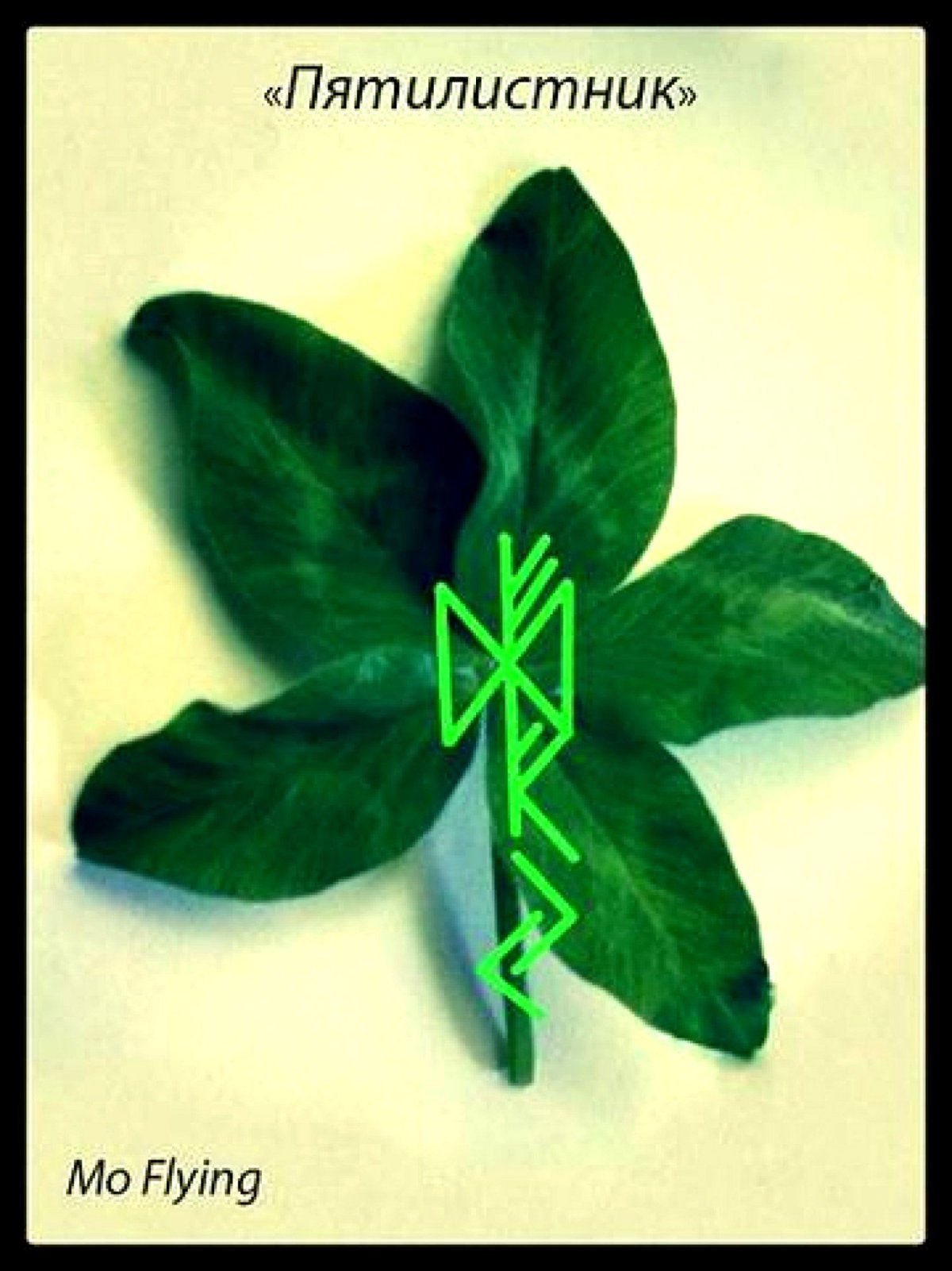 Став денежная вертушка