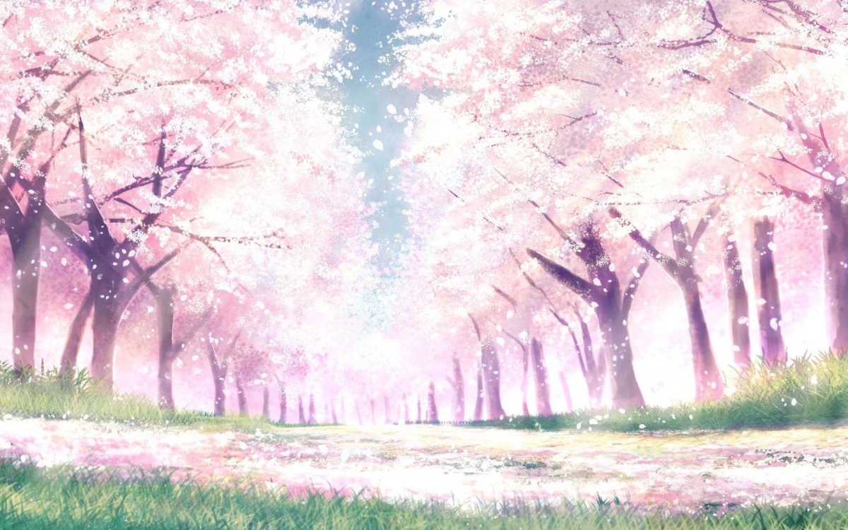 Черри блоссом аниме