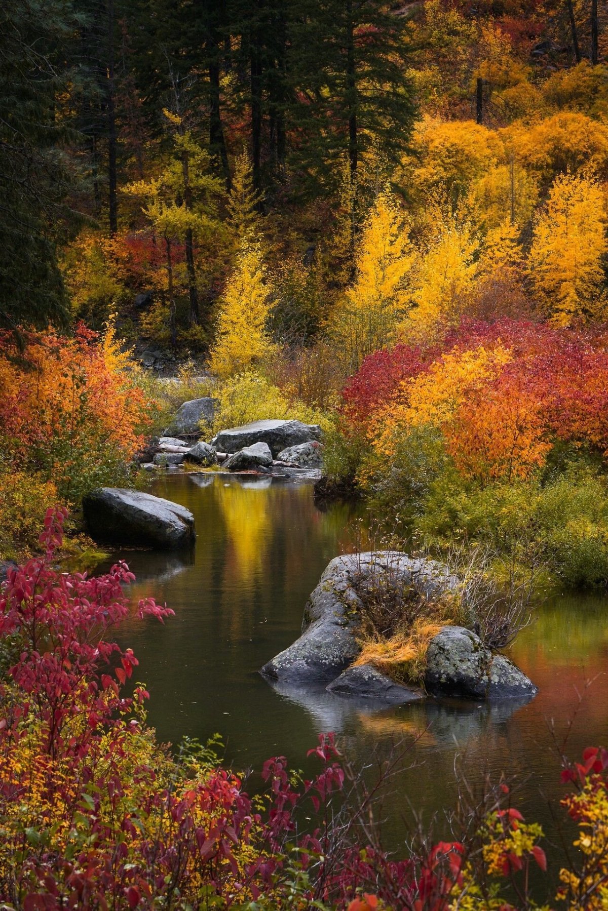 Осенние краски природы