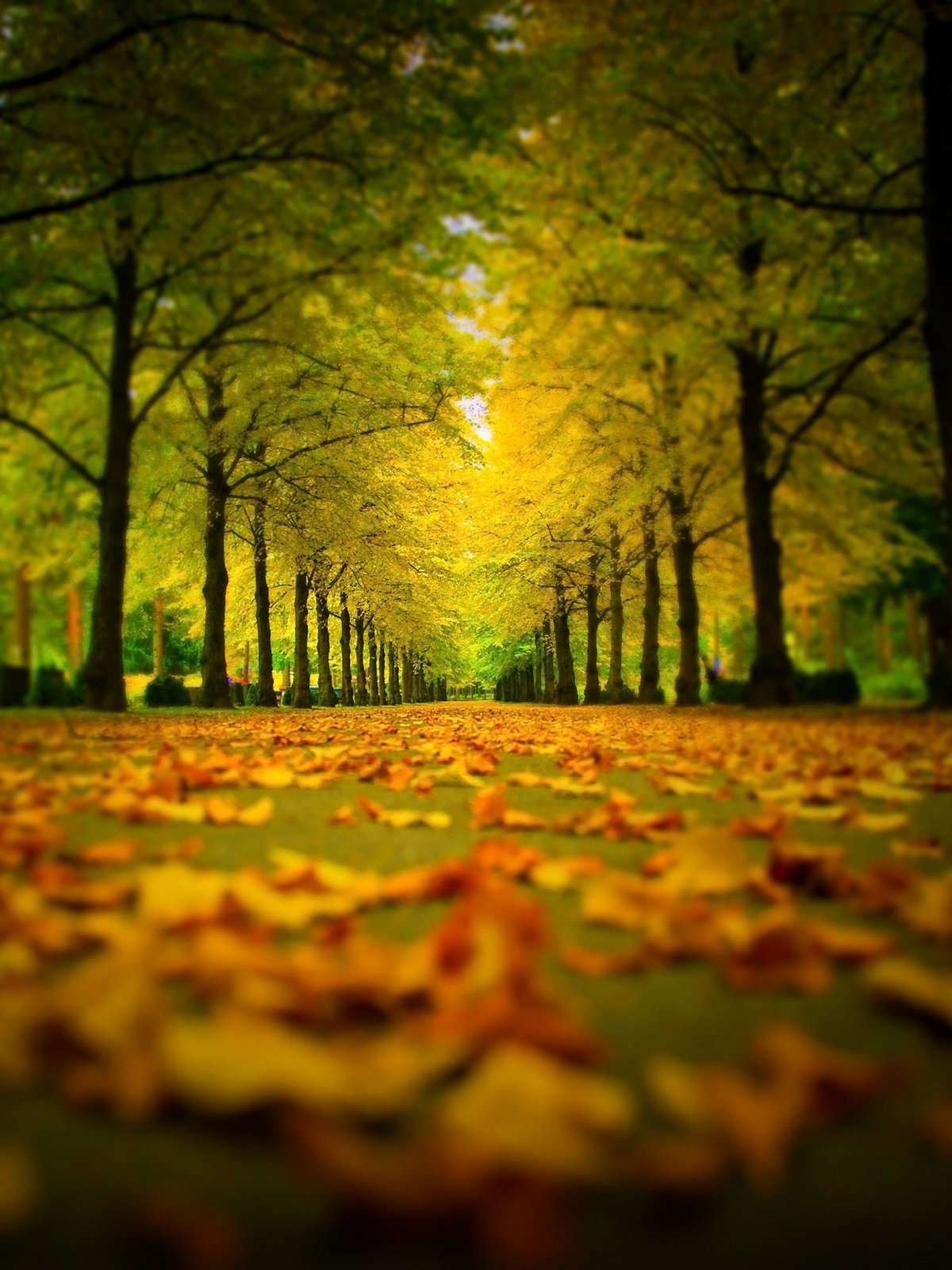 Весна осень когда