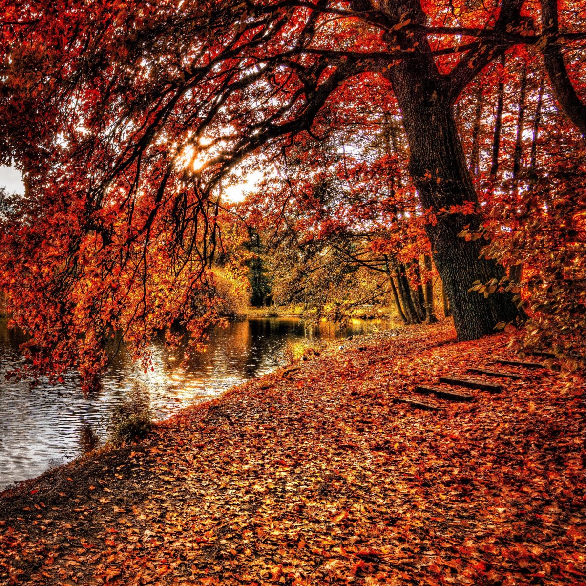 Осень Марьино парк река