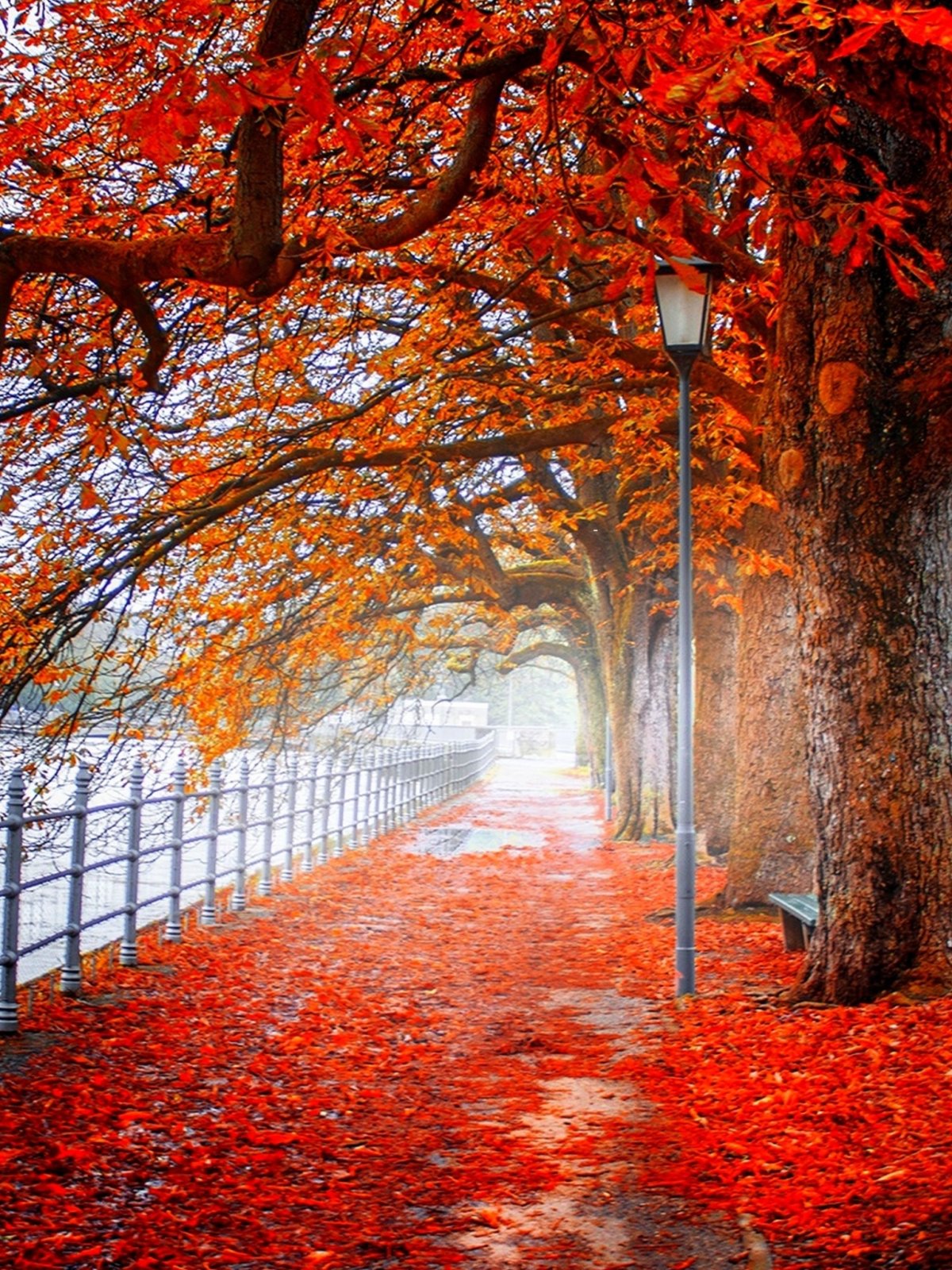 Ранняя осень