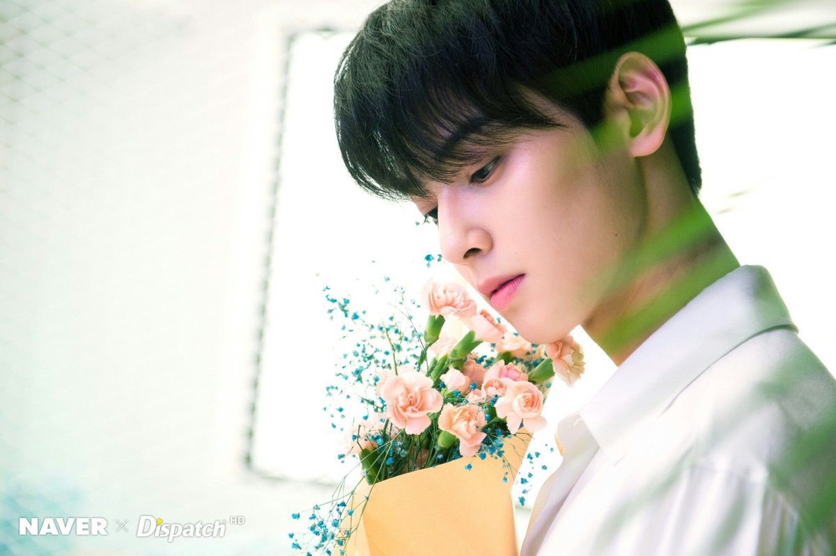 Ча Ыну профиль