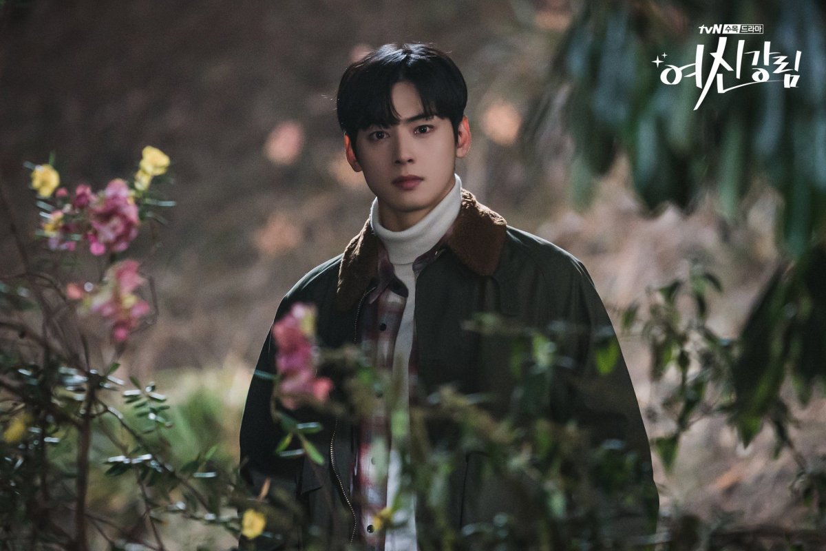 Чха Ын у истинная красота