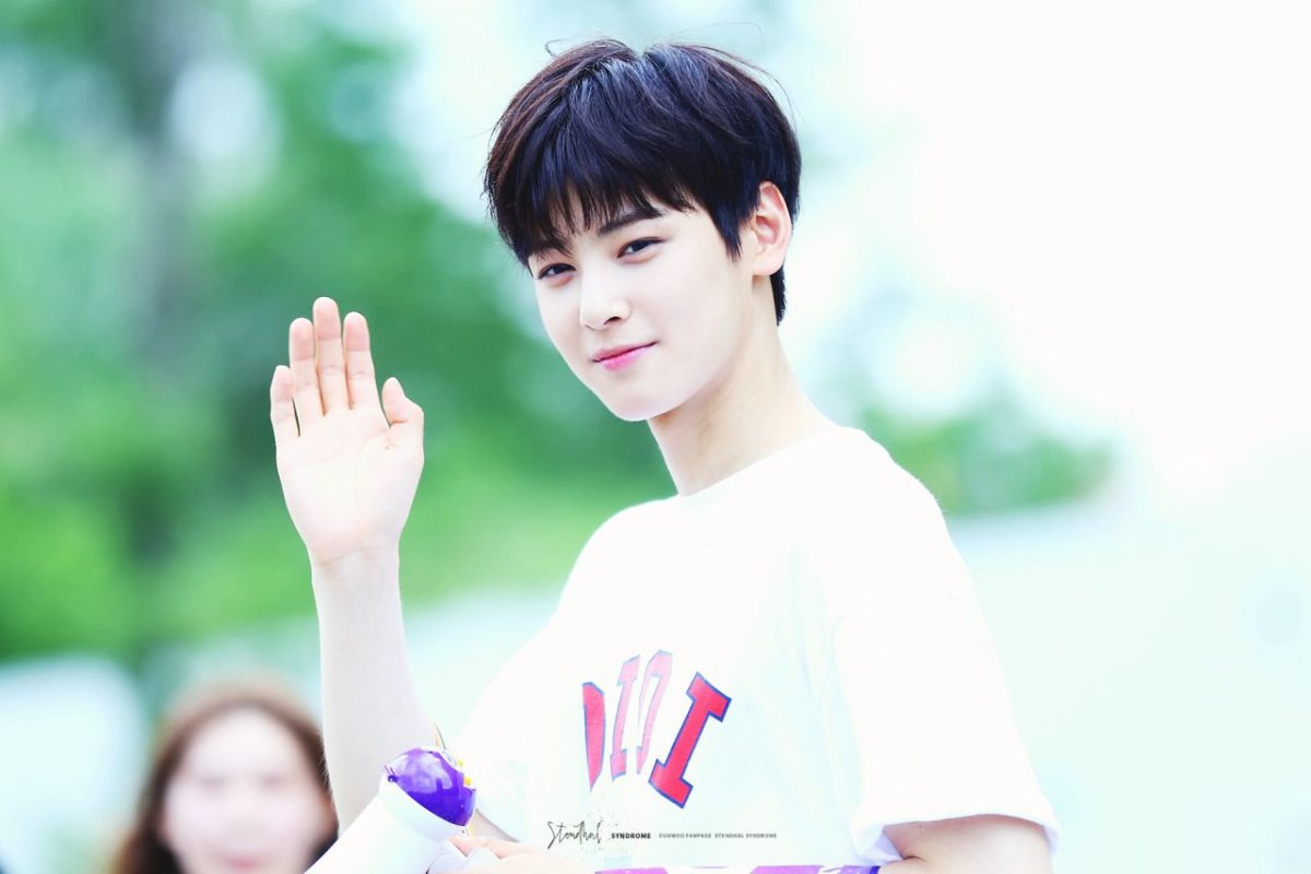 Чха Ын у аниме