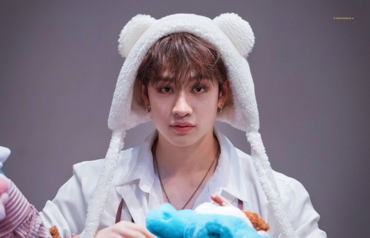 Stray Kids Чан 2020