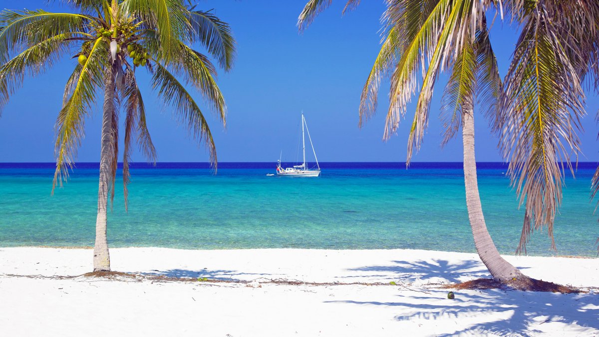 Куба пальмы