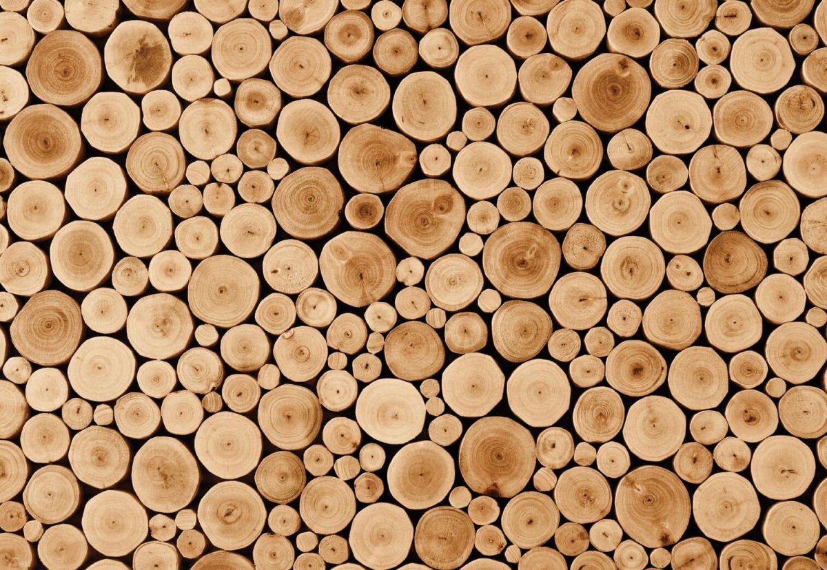 Фон из спилов дерева