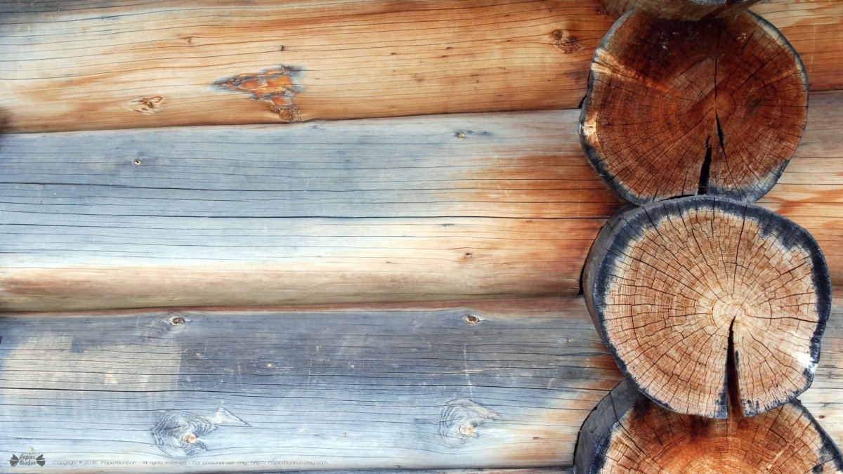 Текстура сруба дерева