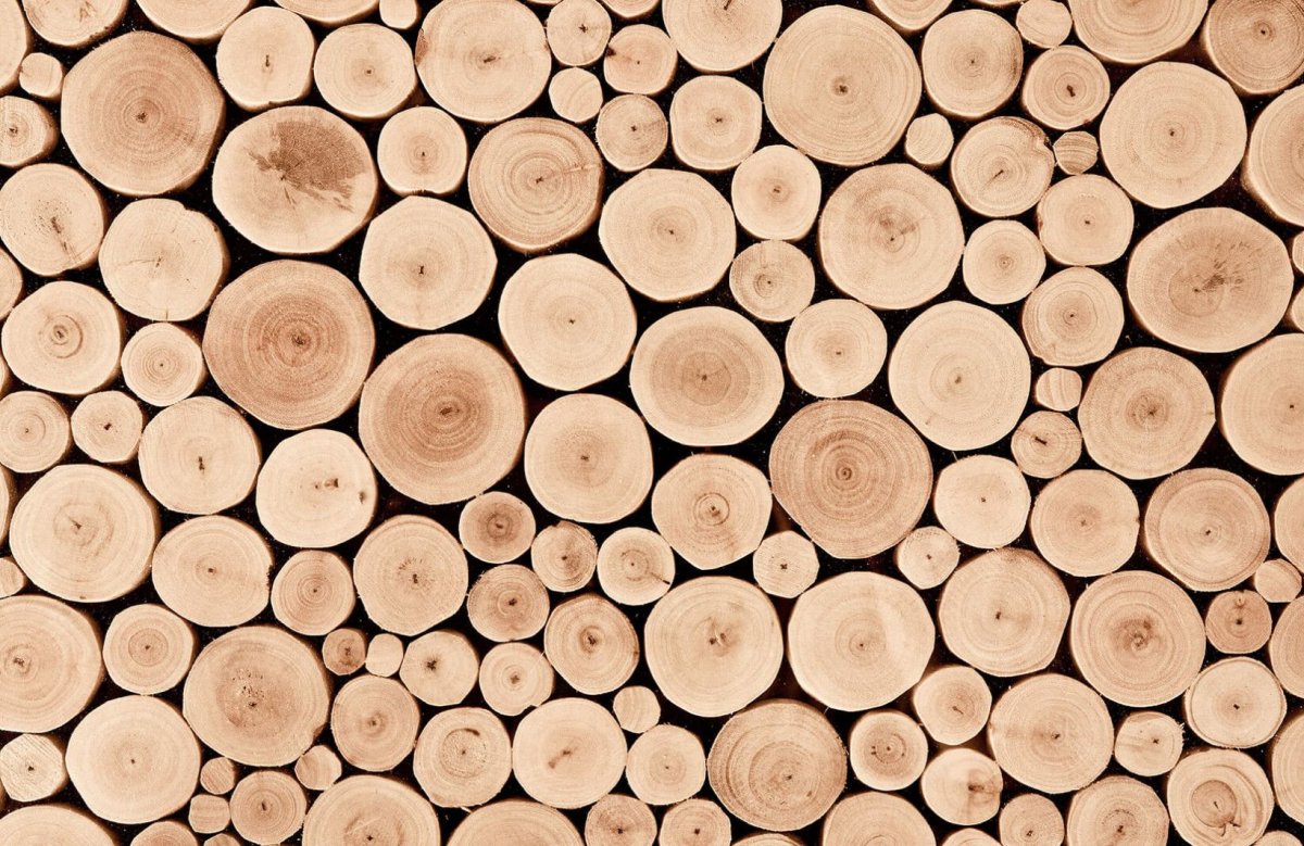 Текстура бревна