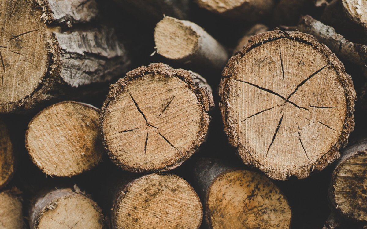 Сруб дерева