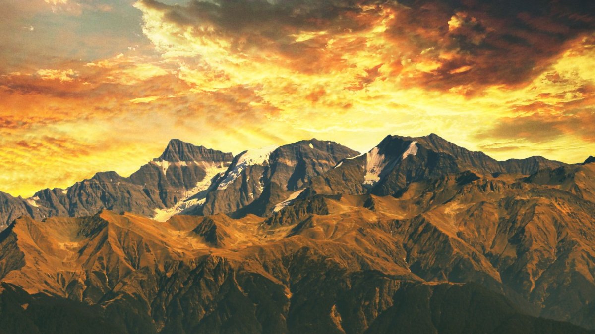 Сибил Сталлоне порнозвезда