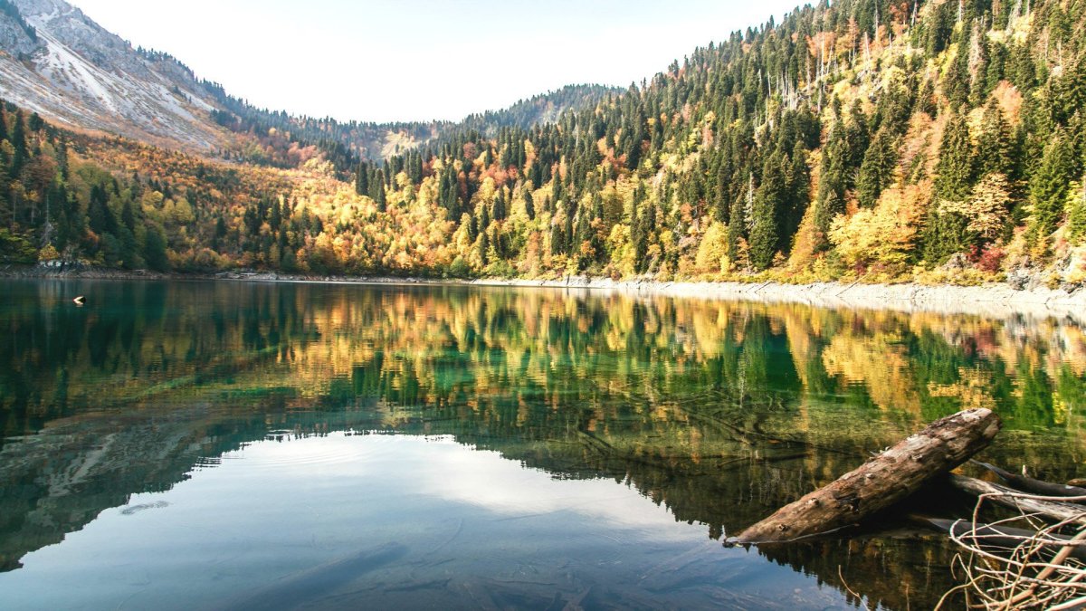 Абхазия достопримечательности озеро Рица