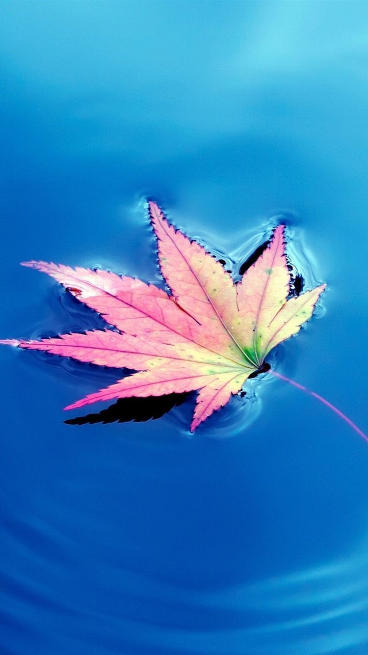 Обои для андроид вертикальные