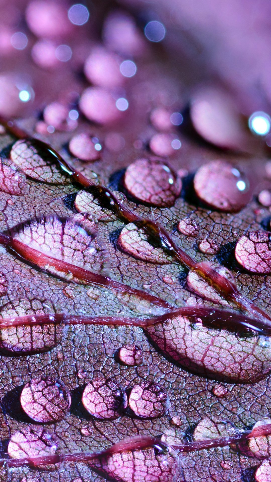 Темы на телефон