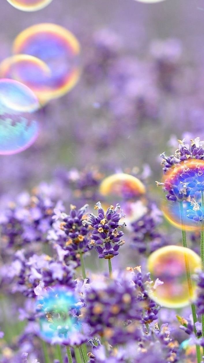 Волшебные бабочки