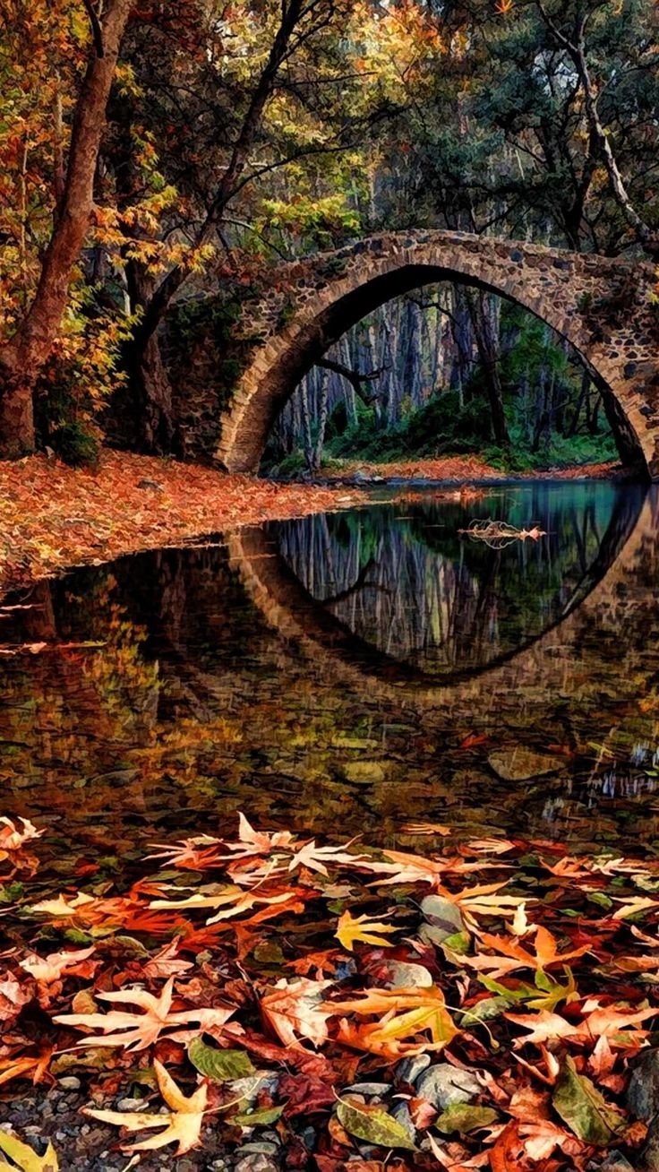 Фотообои телефон