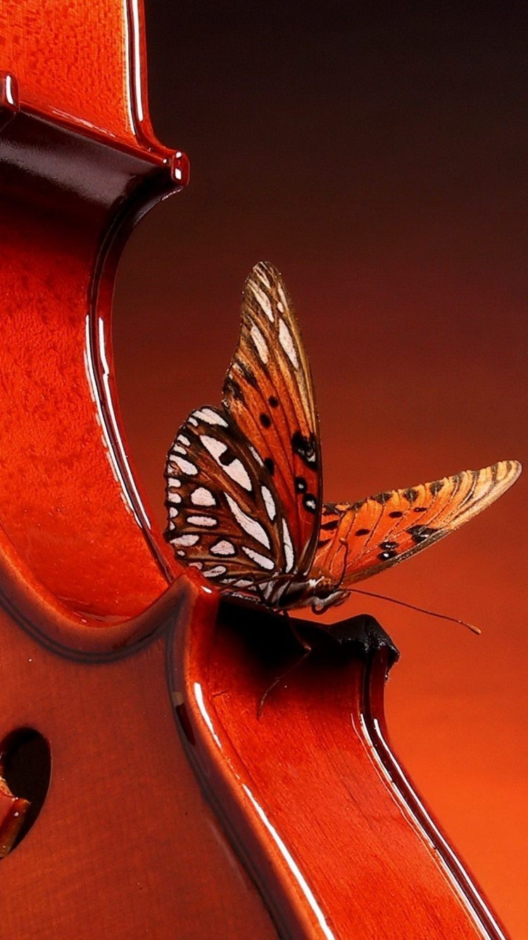 Живые фотообои на телефон