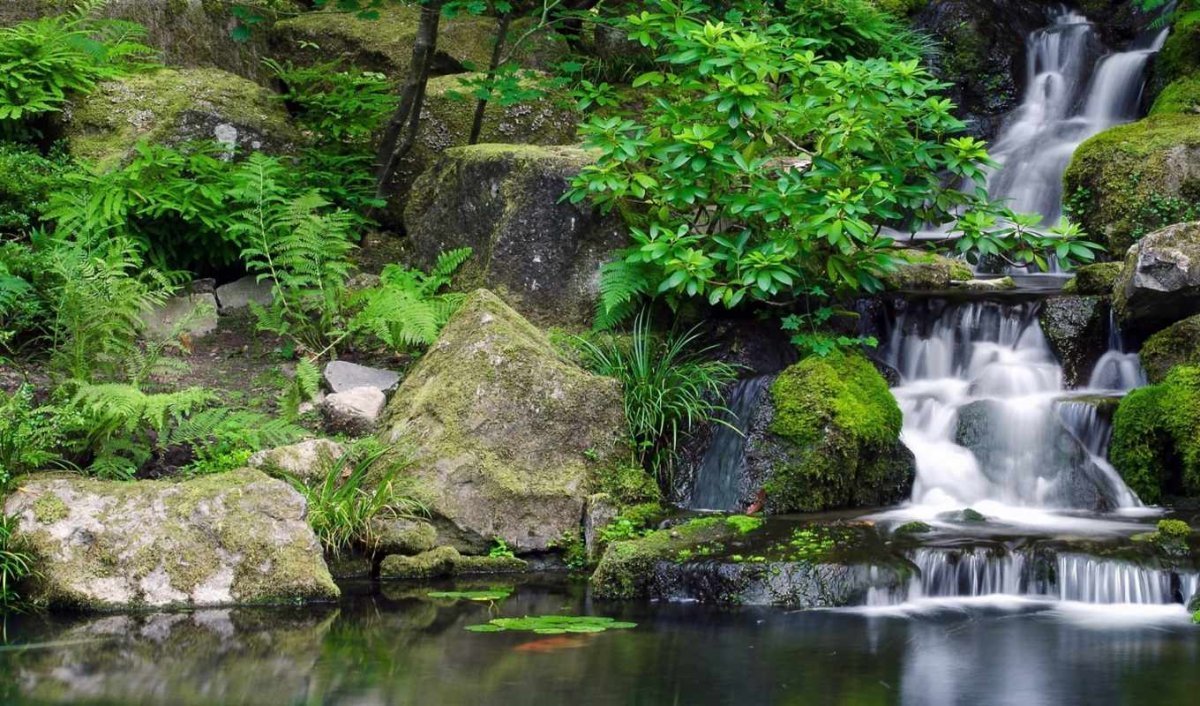 Дзен спокойствие