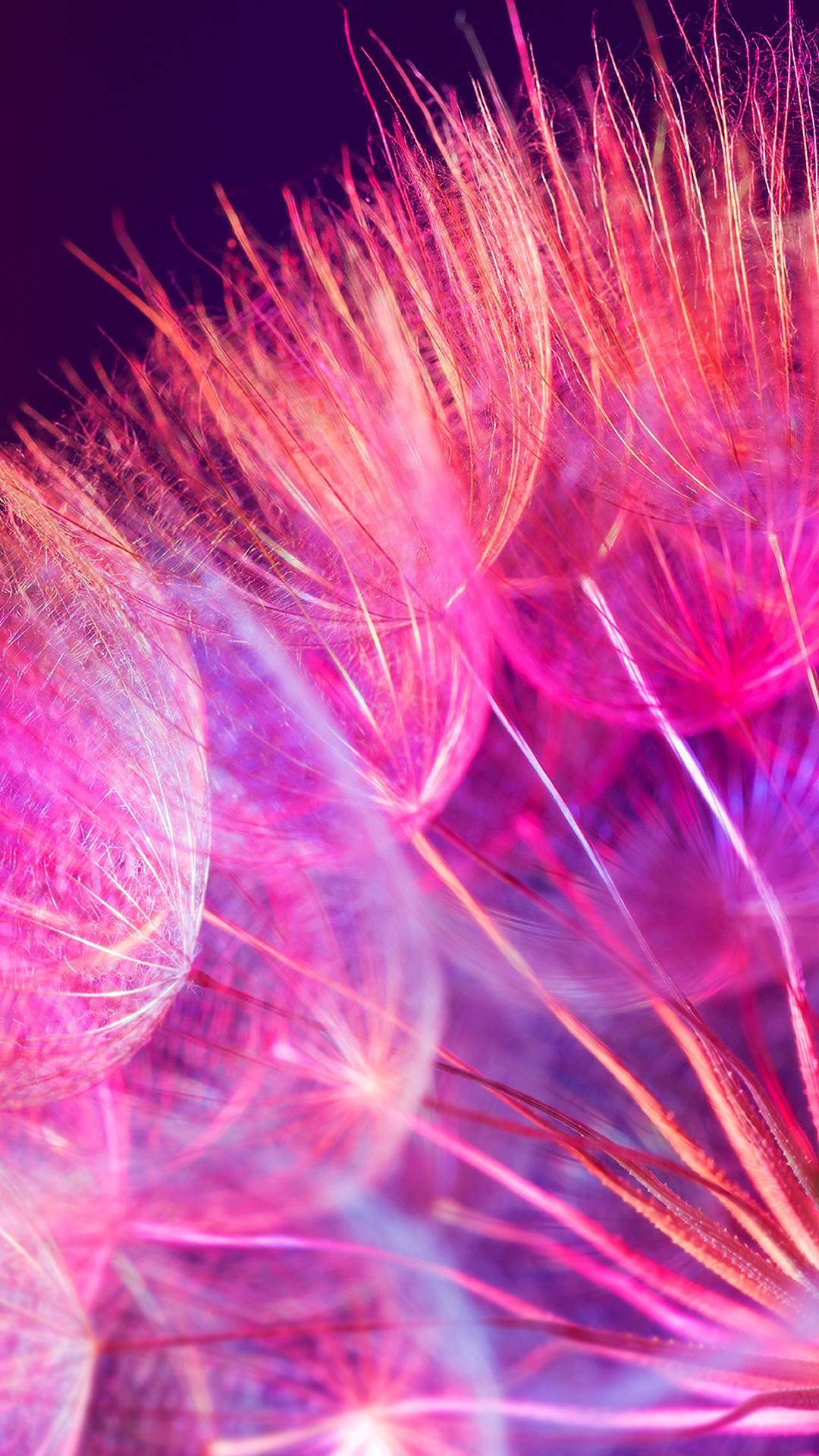 Перо на черном фоне