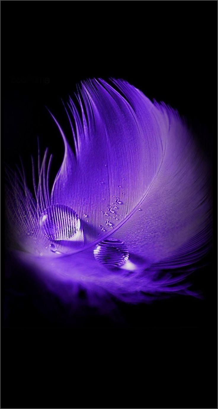 Неоновые цветы