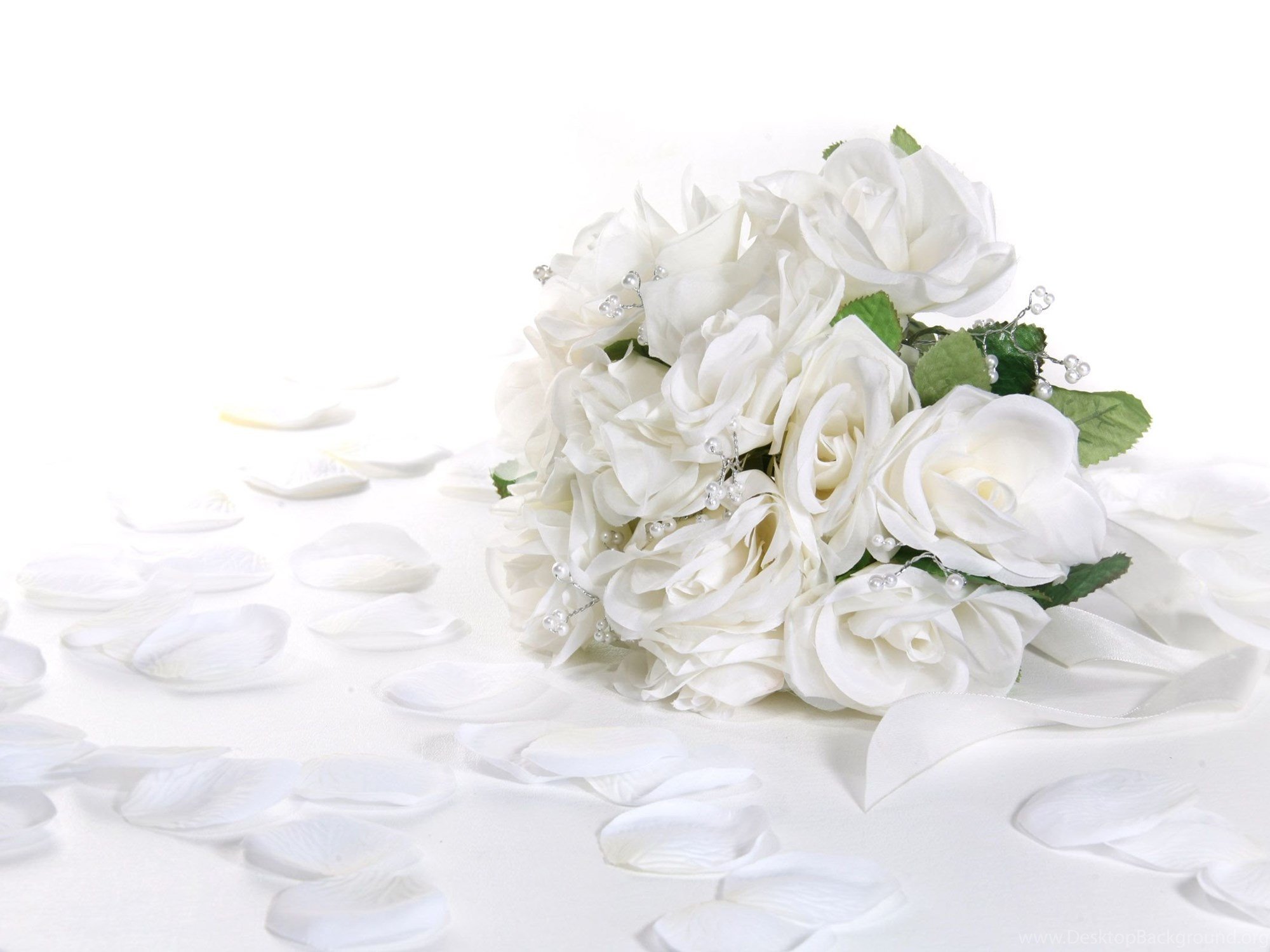 Лепестками белых роз. Поздравления с днем рождения белые розы. С днём рождения женщине белые розы. Открытки с днём рождения женщине белые розы. Роза на белом фоне.