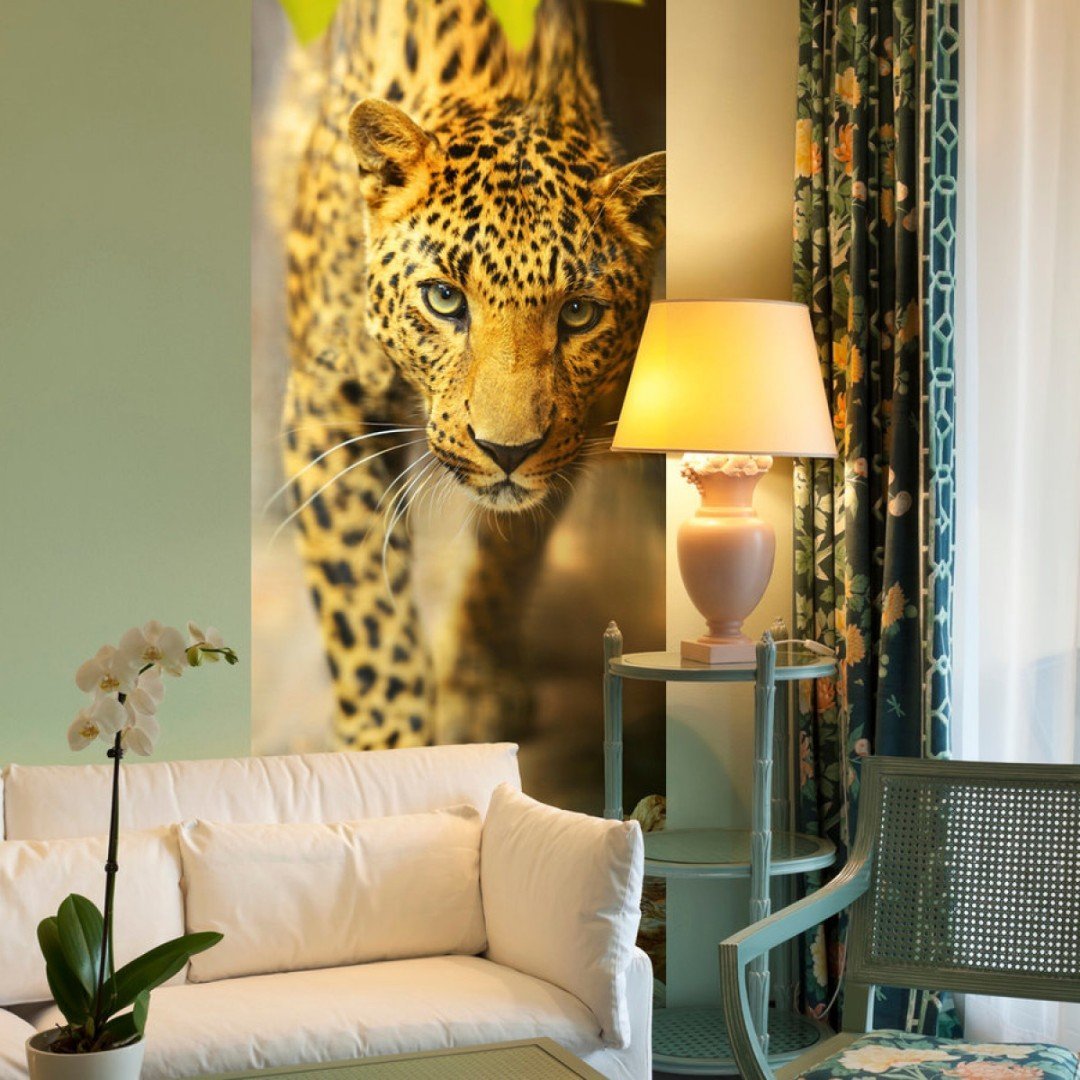 Роберто Кавалли обои леопард