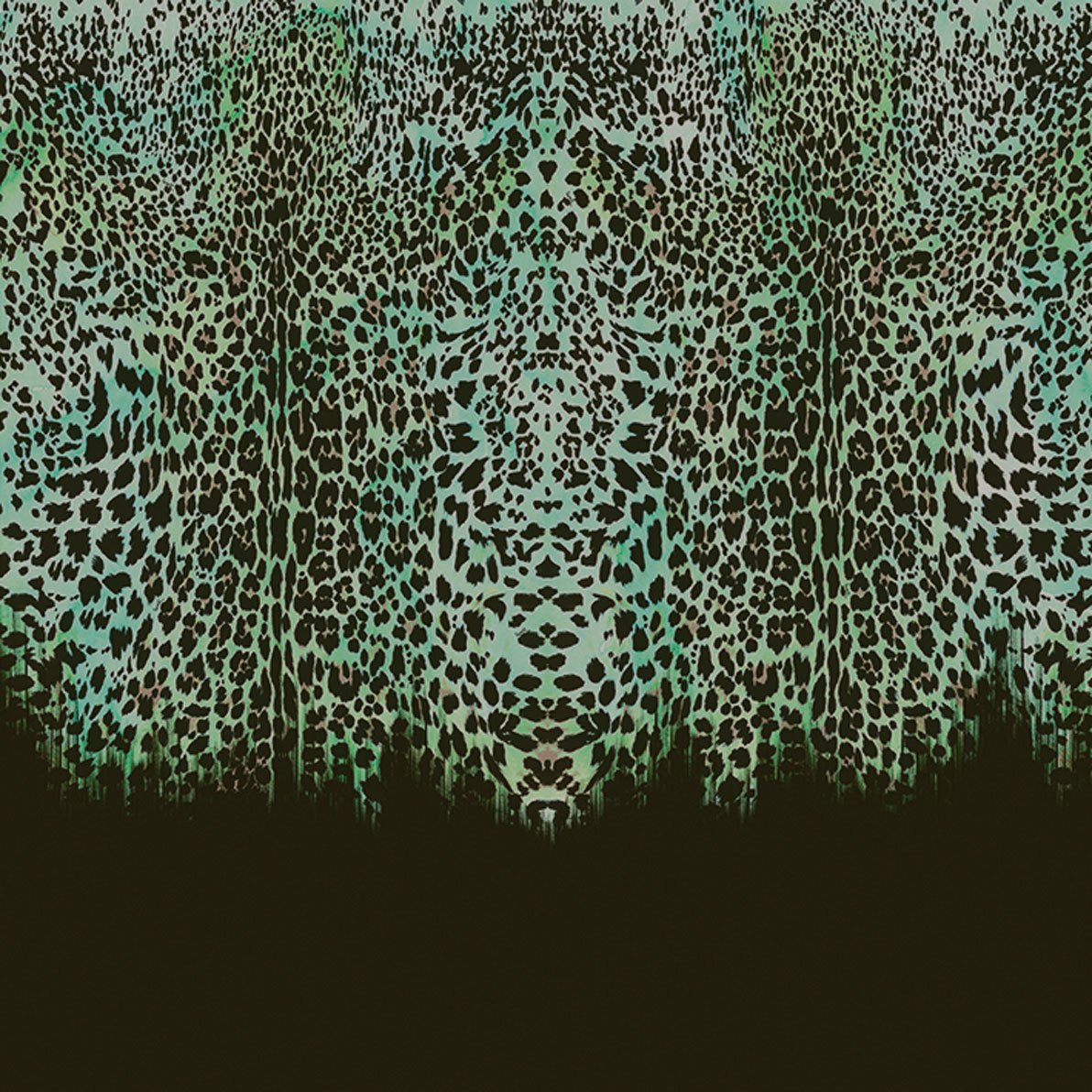 Roberto Cavalli Home 8