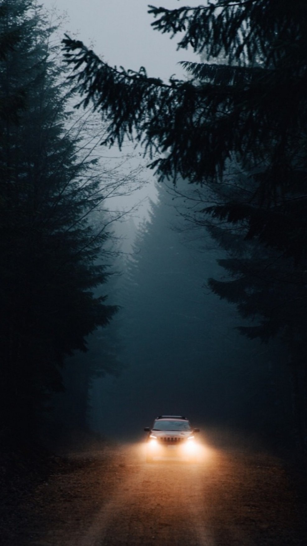 Машина в лесу