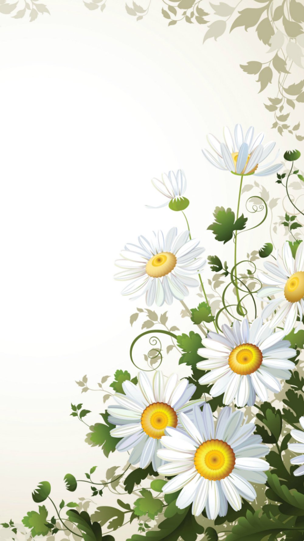 Красивые цветы