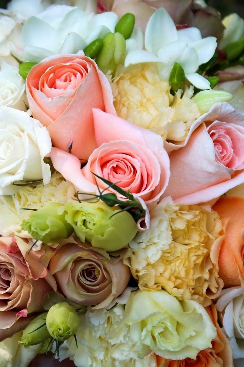 Цветы на темном фоне