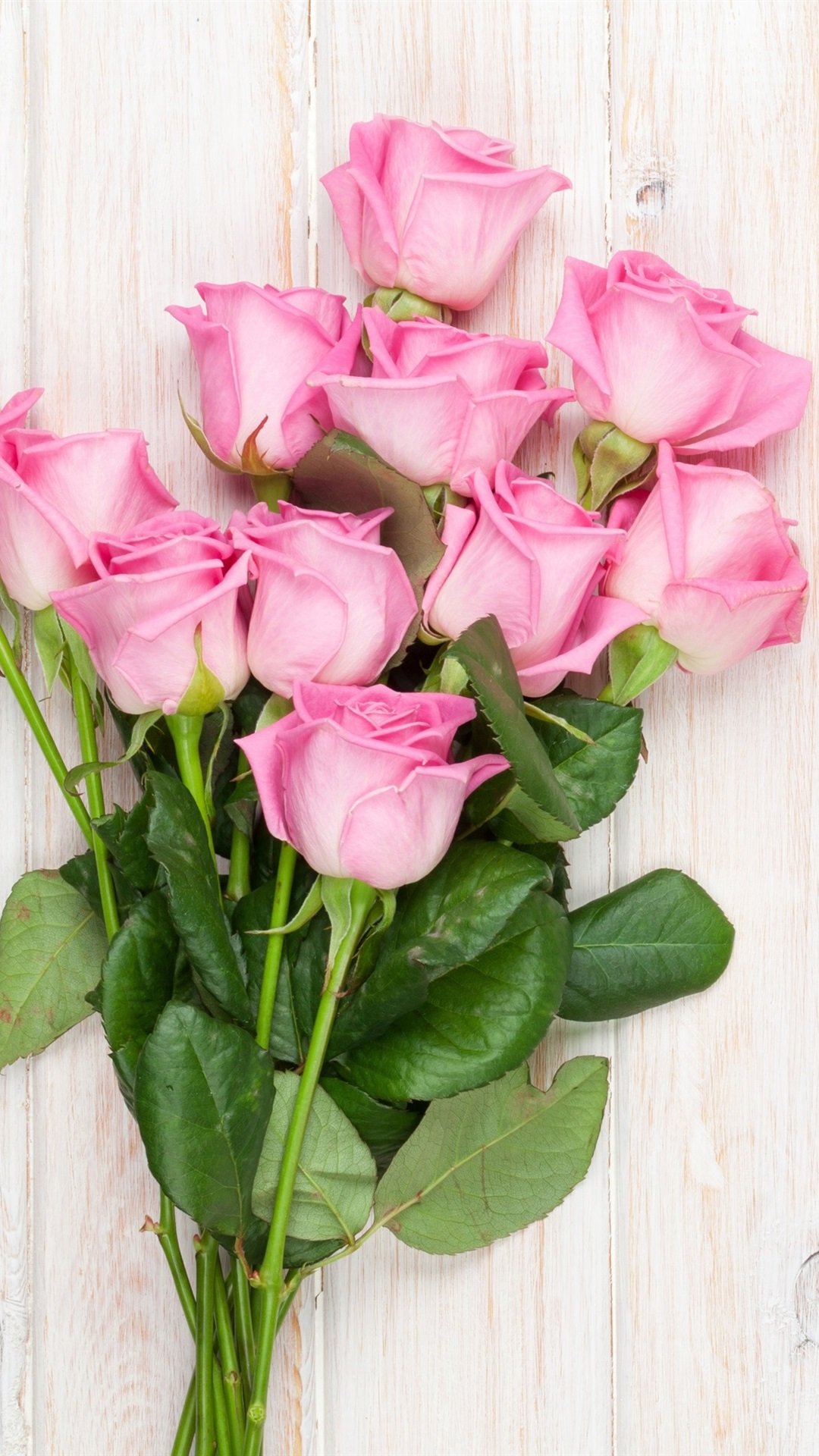 Красивые цветы вертикальные