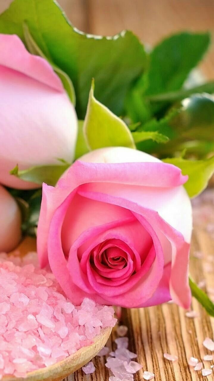 Красивые фотографии ВАЗ