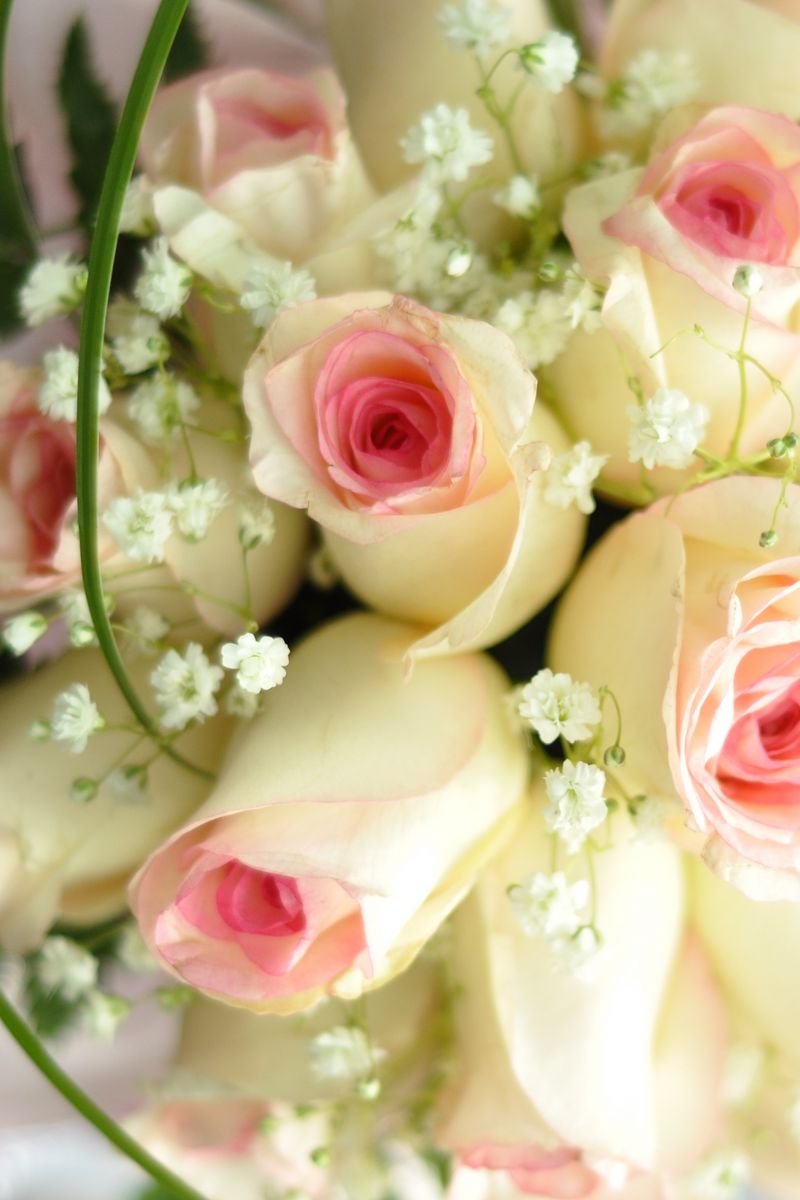 Живые открытки цветы