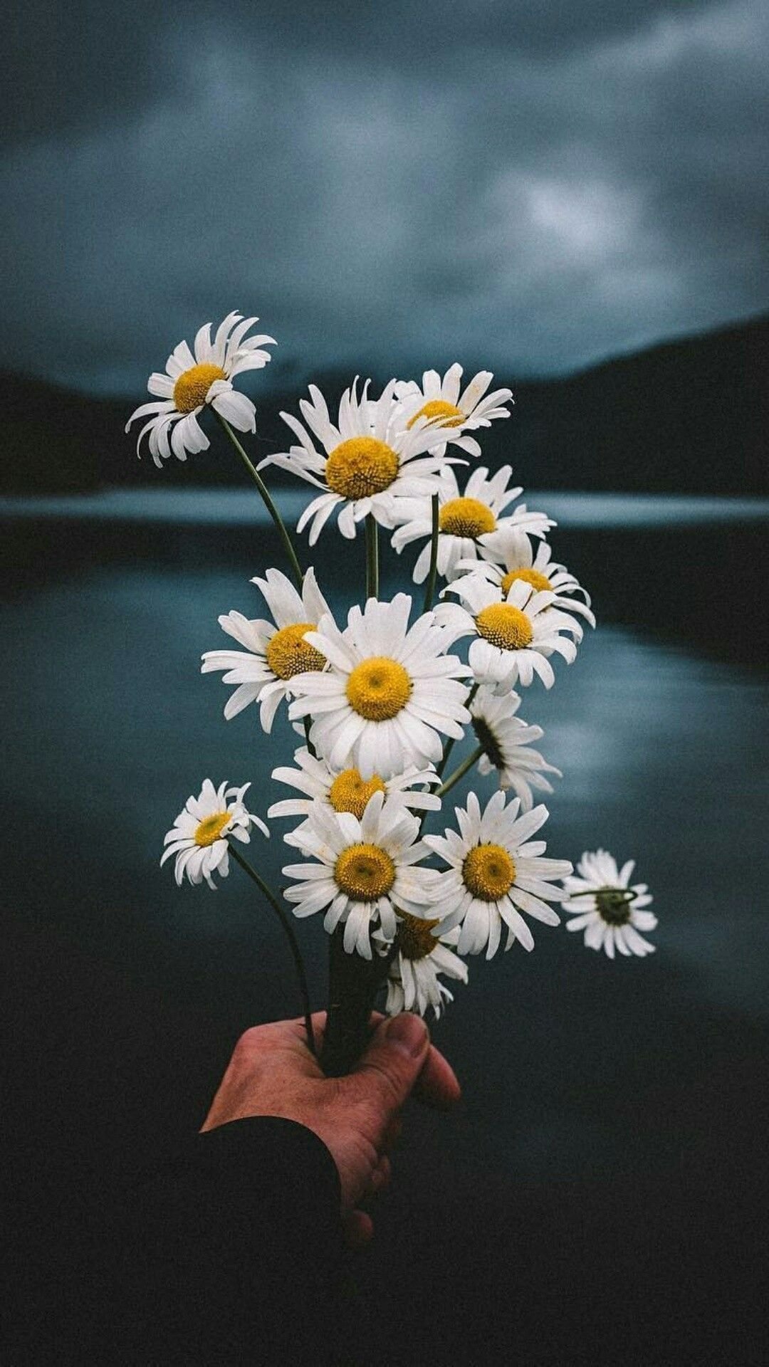 Цветы в корзине