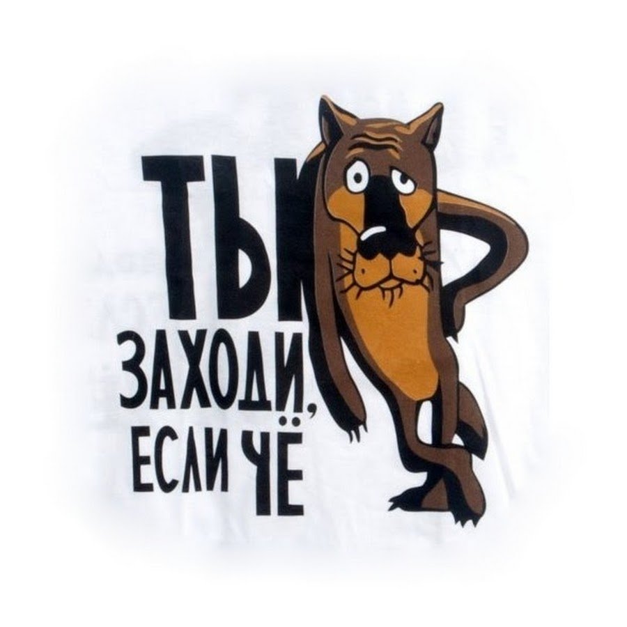 Прикольные надписи на калитку