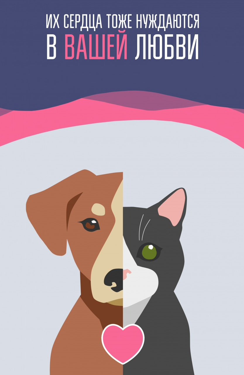 Бездомных животных